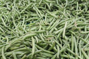 Gotowanie szparagów – porady kulinarne