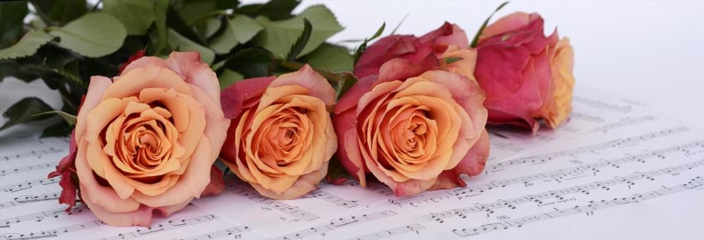 Kombinacje roślin w ogrodzie różanym